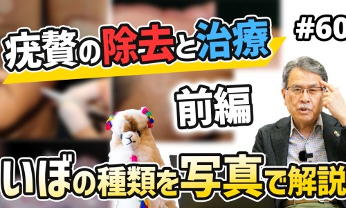 半边莲功效作用与主治功能-半边莲的功效主治归经网 - 半边莲半枝莲白花蛇舌草的功效是什么,半边莲的功效与作用是什么